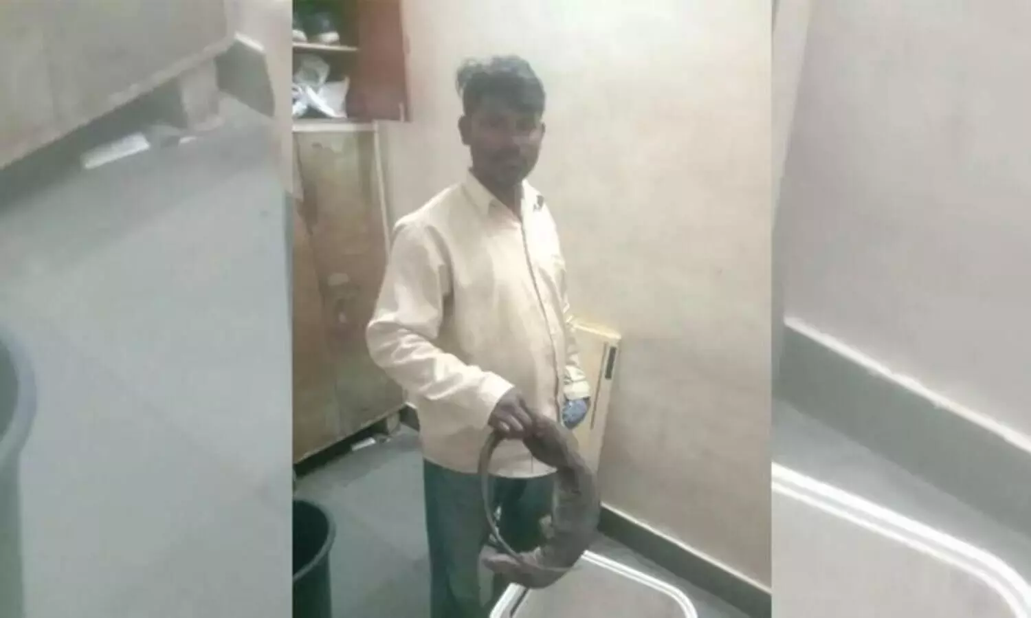 Mumbai: Man held for smuggling dead Indian monitor lizard