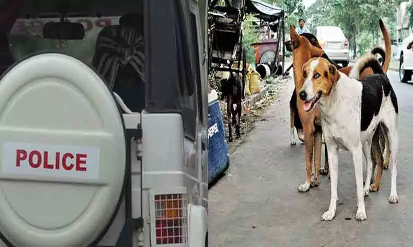 തെരുവുനായ്ക്കളെ പിടിക്കാനും പൊലീസ്; സേനയിൽ മുറുമുറുപ്പ്