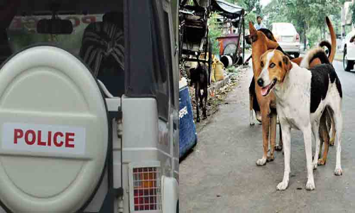 തെരുവുനായ്ക്കളെ പിടിക്കാനും പൊലീസ്; സേനയിൽ മുറുമുറുപ്പ്