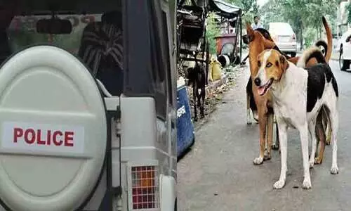 തെരുവുനായ്ക്കളെ പിടിക്കാനും പൊലീസ്; സേനയിൽ മുറുമുറുപ്പ്