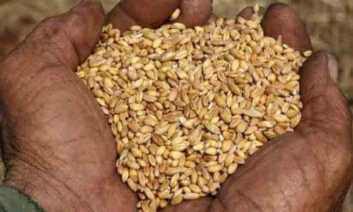 അതിദാരിദ്ര്യ പദ്ധതി: ചിറയിൻകീഴ് ബ്ലോക്കിൽ 659 അതിദരിദ്രർ അതിദാരിദ്ര്യ പദ്ധതി: ചിറയിൻകീഴ് ബ്ലോക്കിൽ 659 അതിദരിദ്രർ