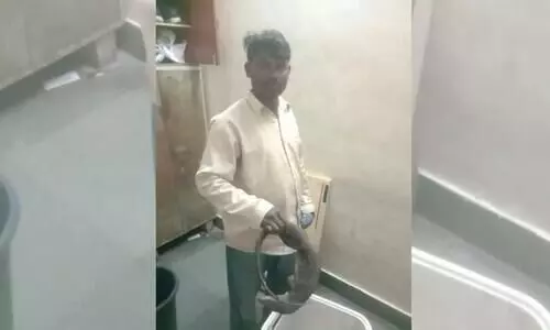 Mumbai: Man held for smuggling dead Indian monitor lizard