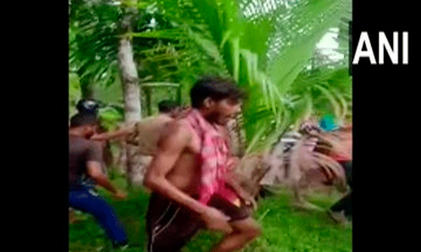 visual from the spot