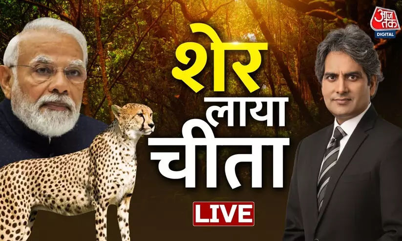പുലികളെ തുറന്നുവിട്ട് ഫോട്ടോയെടുത്ത പ്രധാനമന്ത്രിയുടെ പിറന്നാൾ വിശേഷങ്ങൾ ആണ് വാർത്ത! പുലികളെ തുറന്നുവിട്ട് ഫോട്ടോയെടുത്ത പ്രധാനമന്ത്രിയുടെ പിറന്നാൾ വിശേഷങ്ങൾ ആണ് വാർത്ത!