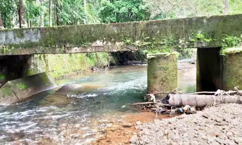 പാലം കടന്നുകിട്ടിയാൽ രക്ഷപ്പെട്ടു പാലം കടന്നുകിട്ടിയാൽ രക്ഷപ്പെട്ടു