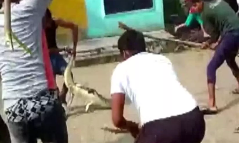 സ്കൂൾ പരിസരത്തെത്തിയ മുതല ക്ലാസിൽ കയറി; ഭയന്ന് വിറച്ച് കുട്ടികൾ സ്കൂൾ പരിസരത്തെത്തിയ മുതല ക്ലാസിൽ കയറി; ഭയന്ന് വിറച്ച് കുട്ടികൾ