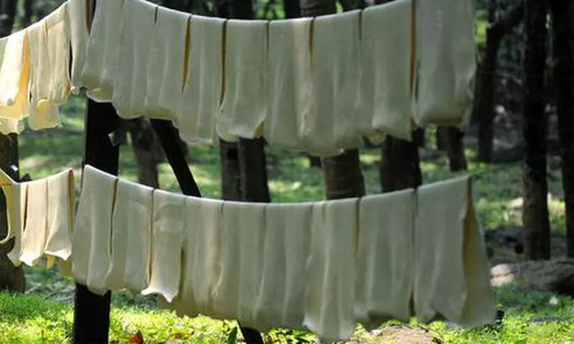 rubber farming rubber farming