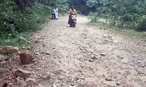 തകർന്ന റോഡ് നന്നാക്കുന്നില്ല; ആര്യങ്കാവ് -റോസ്മല വനപാതയിൽ യാത്ര ദുരിതം