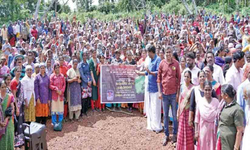 നാട് കാണട്ടെ, ഈ മാതൃക: 28 ഏക്കർ; രണ്ടായിരം വിപ്ലവം നാട് കാണട്ടെ, ഈ മാതൃക: 28 ഏക്കർ; രണ്ടായിരം വിപ്ലവം