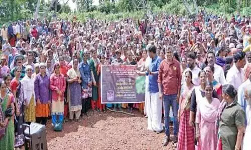 നാട് കാണട്ടെ, ഈ മാതൃക: 28 ഏക്കർ; രണ്ടായിരം വിപ്ലവം