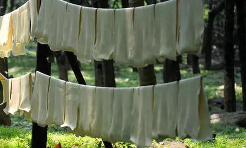 rubber farming rubber farming