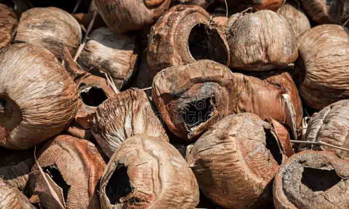 7000 തേങ്ങയും കൂടയും കത്തി നശിച്ചു