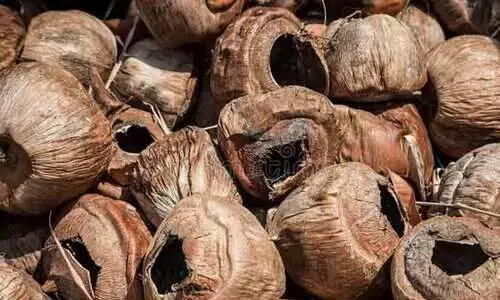 7000 തേങ്ങയും കൂടയും കത്തി നശിച്ചു