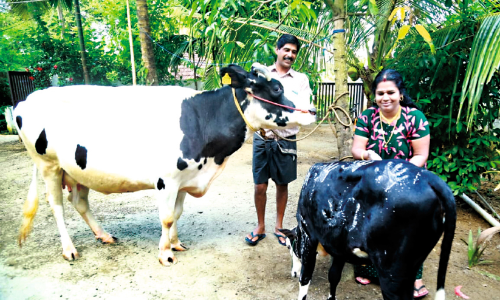 Aayliam Makam festivel