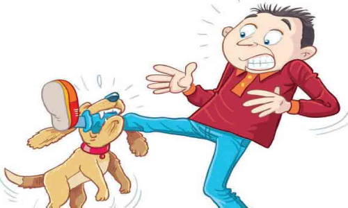 തെരുവ്നായ് നിയന്ത്രണം: നാല് വർഷത്തിനിടെ കോർപറേഷൻ ചെലവിട്ടത് 60.46 ലക്ഷം