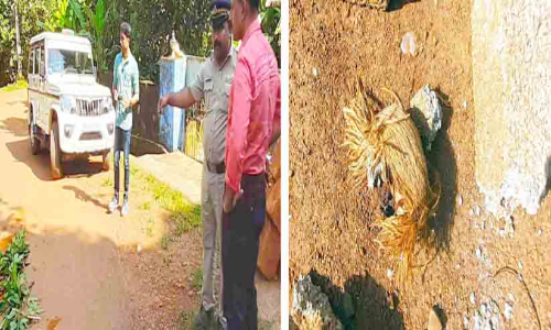 ഉളിയിൽ പടിക്കച്ചാലിൽ രാത്രികാലങ്ങളിൽ ബോംബ് സ്ഫോടനം പതിവാകുന്നു