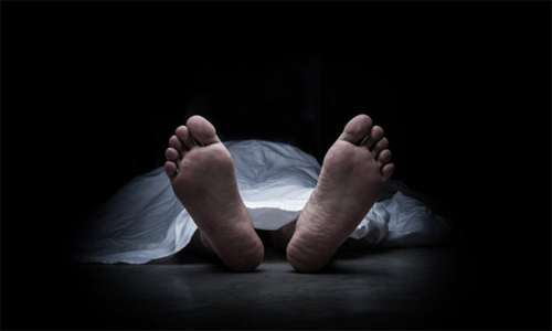 mother came back after death