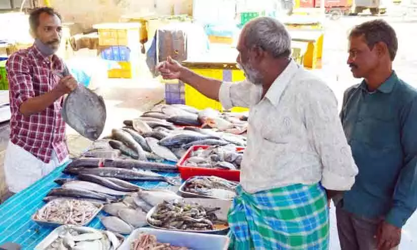 വിലയിടിഞ്ഞ് വലിയ മീനുകൾ