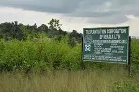 പ്ലാന്റേഷൻ കോർപറേഷന്റെ ഭൂമി : വ്യജരേഖ ചമച്ച് കൈവശപ്പെടുത്തിയതിൽ അന്വേഷണത്തിന് ഉത്തരവ് പ്ലാന്റേഷൻ കോർപറേഷന്റെ ഭൂമി : വ്യജരേഖ ചമച്ച് കൈവശപ്പെടുത്തിയതിൽ അന്വേഷണത്തിന് ഉത്തരവ്