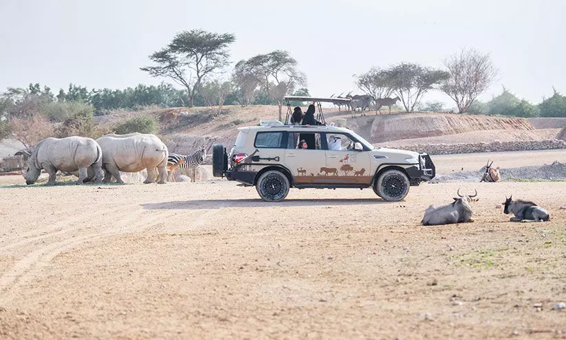 അൽഐൻ മൃഗശാലയിൽ ഇന്നും പ്രവേശനം സൗജന്യം