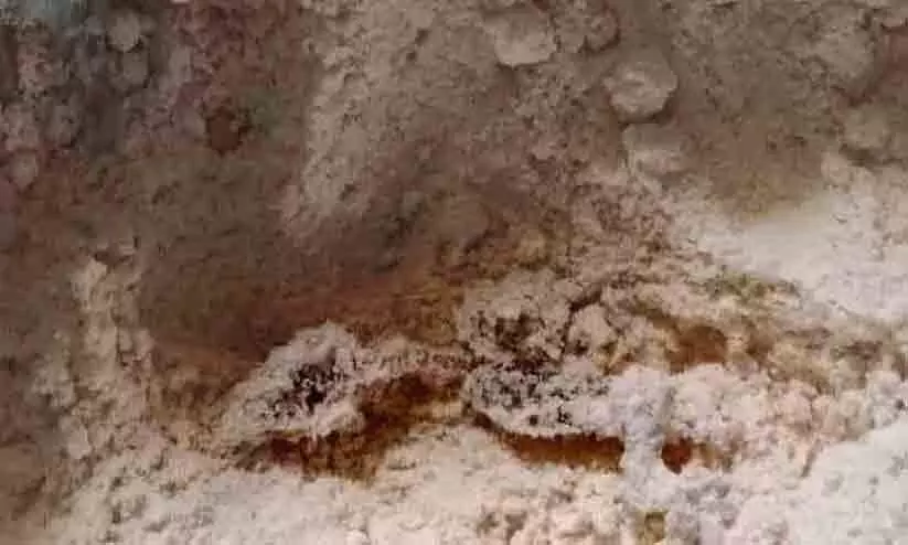 കരവാരത്ത് അമൃതം പൊടിയിൽ ചത്ത പല്ലി