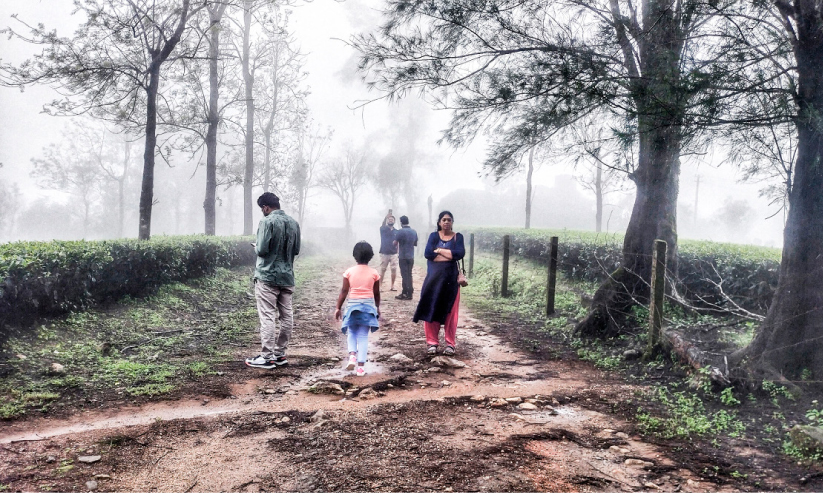 മഴമാറി മനംനിറച്ച് ഇടുക്കി: ഒരാഴ്ചക്കിടെ ഡി.ടി.പി.സിയുടെ പ്രധാന കേന്ദ്രങ്ങളിൽ എത്തിയത് അരലക്ഷത്തിലേറെ പേർ മഴമാറി മനംനിറച്ച് ഇടുക്കി: ഒരാഴ്ചക്കിടെ ഡി.ടി.പി.സിയുടെ പ്രധാന കേന്ദ്രങ്ങളിൽ എത്തിയത് അരലക്ഷത്തിലേറെ പേർ