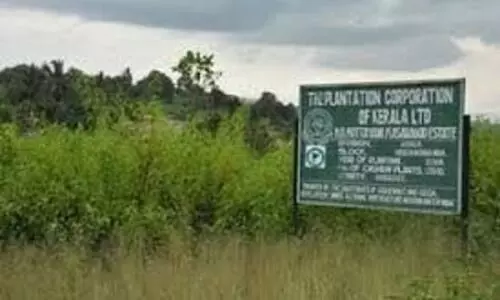 പ്ലാന്റേഷൻ കോർപറേഷന്റെ ഭൂമി : വ്യജരേഖ ചമച്ച് കൈവശപ്പെടുത്തിയതിൽ അന്വേഷണത്തിന് ഉത്തരവ്