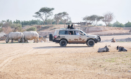 അൽഐൻ മൃഗശാലയിൽ ഇന്നും പ്രവേശനം സൗജന്യം