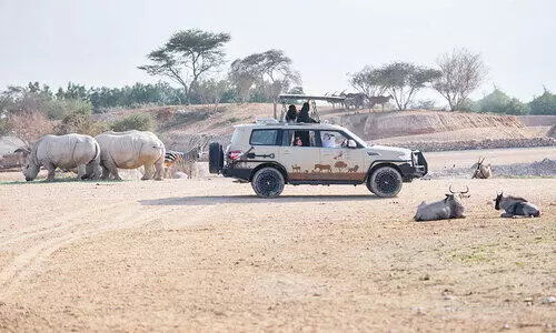 അൽഐൻ മൃഗശാലയിൽ ഇന്നും പ്രവേശനം സൗജന്യം