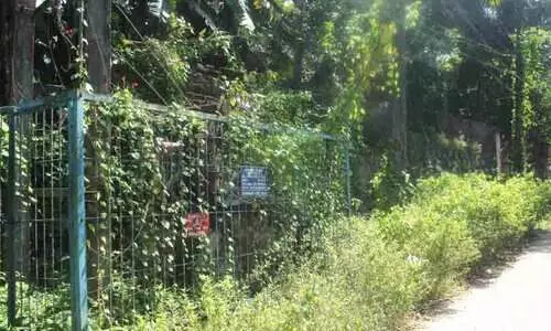 ട്രാൻസ്ഫോർമറിൽ കാട് മൂടി; വൈദ്യുതി തടസ്സം പതിവ്