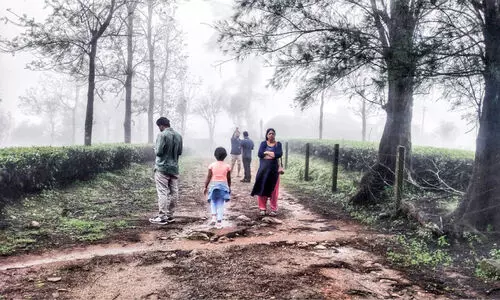 മഴമാറി മനംനിറച്ച്​​ ഇടുക്കി:  ഒ​രാ​ഴ്ച​ക്കി​ടെ ഡി.​ടി.​പി.​സി​യു​ടെ പ്ര​ധാ​ന കേ​ന്ദ്ര​ങ്ങ​ളി​ൽ എ​ത്തി​യ​ത്​ അ​ര​ല​ക്ഷ​ത്തി​ലേ​റെ പേർ​