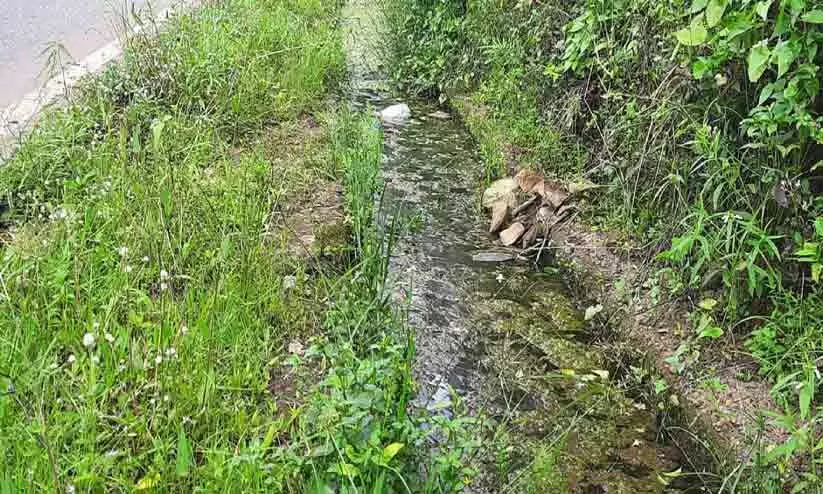 മലിനജലം കെട്ടിക്കിടന്ന് കൊതുക് പെരുകുന്നതായി പരാതി മലിനജലം കെട്ടിക്കിടന്ന് കൊതുക് പെരുകുന്നതായി പരാതി