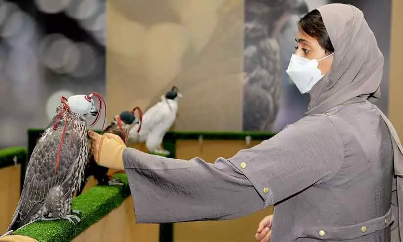 അറബ് പൈതൃക മേളയ്ക്ക് അരങ്ങൊരുങ്ങി; അബൂദബി വിളിക്കുന്നു, അഡിഹെക്‌സിലേക്ക്