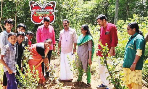 The students prepared the garden