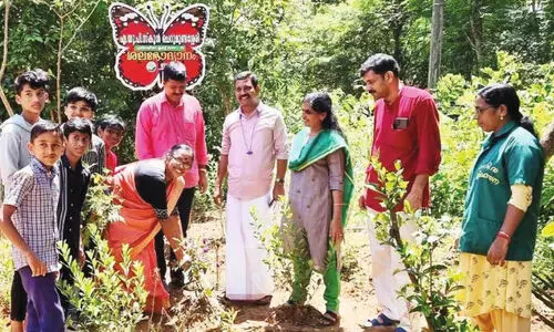 The students prepared the garden