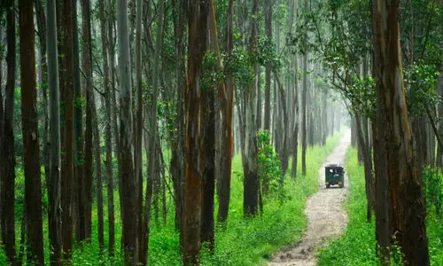 വന്യജീവി വാരാഘോഷം; വന്യജീവി സങ്കേതങ്ങളിലും മൃഗശാലകളിലും പ്രവേശനം സൗജന്യം