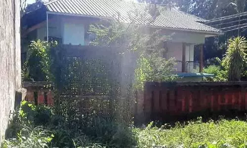 മാലിന്യം ശേഖരിക്കുന്ന ഇരുമ്പ് കൂട് കാടുകയറി നശിക്കുന്നു