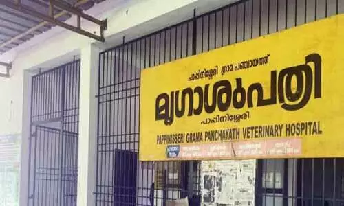 ഡോക്ടറും ലൈവ് സ്റ്റോക് അസിസ്റ്റന്റുമാരുമില്ല പാപ്പിനിശ്ശേരി മൃഗാശുപത്രിയിൽ ചികിത്സ നിലച്ചു