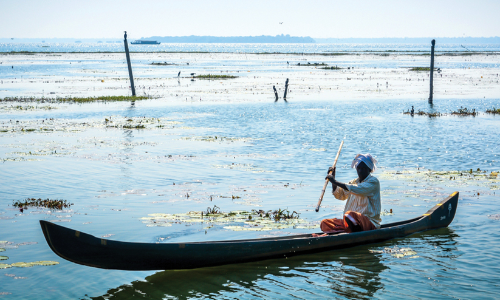 ഇനിയവർ തൊഴിലെടുക്കട്ടെ