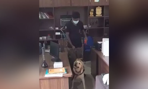 ഭാര്യയുടെ സ്ഥാപനത്തിൽ മോഷണം നടത്താൻ ക്വട്ടേഷൻ നൽകിയ പരിസ്ഥിതി പ്രവർത്തകൻ അറസ്റ്റിൽ