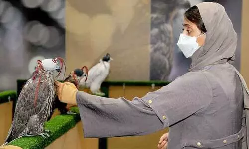 അറബ് പൈതൃക മേളയ്ക്ക് അരങ്ങൊരുങ്ങി; അബൂദബി വിളിക്കുന്നു, അഡിഹെക്‌സിലേക്ക്