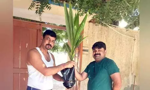 പ്രവാസ ലോകത്തെ സൗഹൃദം രാജസ്ഥാനില്‍ തെങ്ങായി വളരും