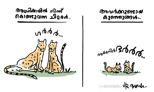 ആത്മനിർഭർർർ..