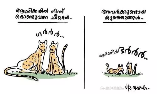 ആത്മനിർഭർർർ..