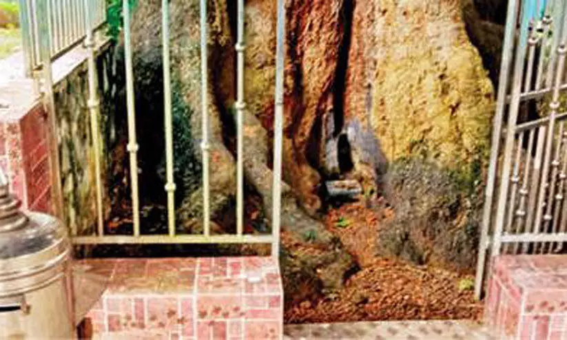 ആവോലി സുബ്രഹ്മണ്യസ്വാമി ക്ഷേത്രത്തിലെ വിഗ്രഹം മോഷ്ടിച്ചു