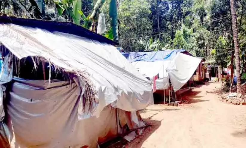 ചോർന്നൊലിക്കുന്ന വീടുകൾ; വാളുമുക്ക് കോളനിയിൽ ദുരിതജീവിതം ചോർന്നൊലിക്കുന്ന വീടുകൾ; വാളുമുക്ക് കോളനിയിൽ ദുരിതജീവിതം