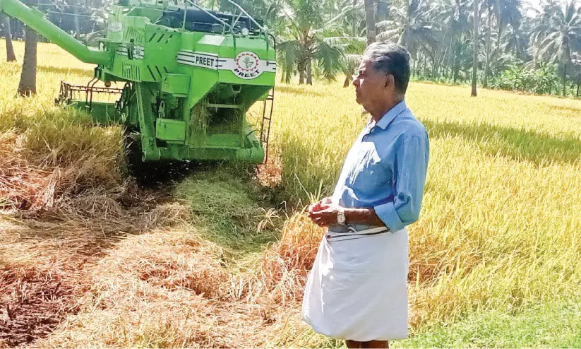 സപ്ലൈകോ നെല്ലുസംഭരണം: ചർച്ചകൾ നാളെ നാളെ, സംഭരണം നീളെ നീളെ... സപ്ലൈകോ നെല്ലുസംഭരണം: ചർച്ചകൾ നാളെ നാളെ, സംഭരണം നീളെ നീളെ...