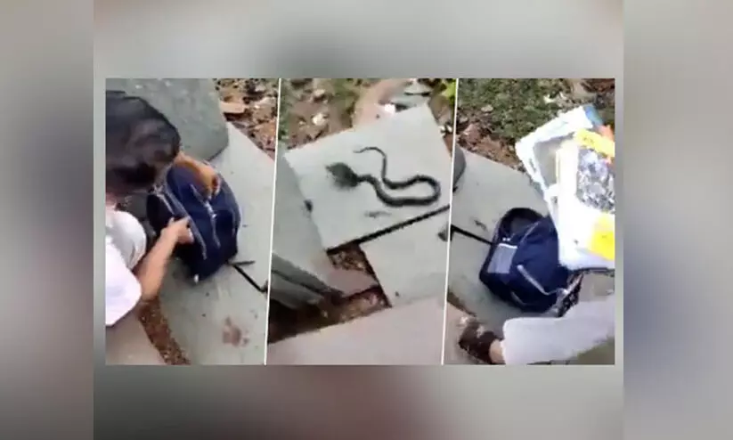 ബാഗിനുള്ളിൽ ഒരനക്കം..! വിദ്യാർഥിനിയുടെ പരാതി കേട്ട് തുറന്നുനോക്കിയ ടീച്ചർ കണ്ടത്..! വിഡിയോ വൈറൽ