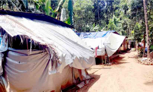 ചോർന്നൊലിക്കുന്ന വീടുകൾ; വാളുമുക്ക് കോളനിയിൽ ദുരിതജീവിതം