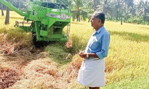 സപ്ലൈകോ നെല്ലുസംഭരണം: ചർച്ചകൾ നാളെ നാളെ, സംഭരണം നീളെ നീളെ... സപ്ലൈകോ നെല്ലുസംഭരണം: ചർച്ചകൾ നാളെ നാളെ, സംഭരണം നീളെ നീളെ...